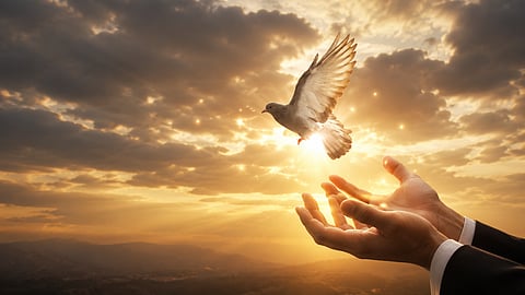 The Quiet Strength of Kshama and the Freedom of Forgiveness