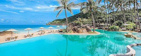 A Slice of Paradise