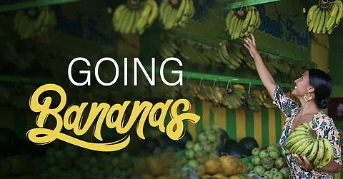 Going Bananas