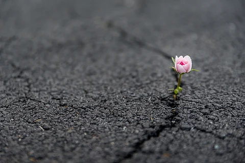 Musings of a Resilient Aunty