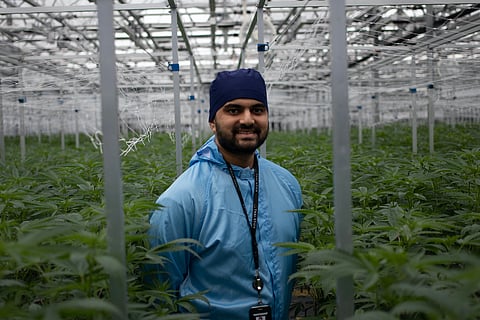 Rehan Mehta, CEO of Thai Stick Co. Ltd.,  has a bold vision for the future of Thai cannabis