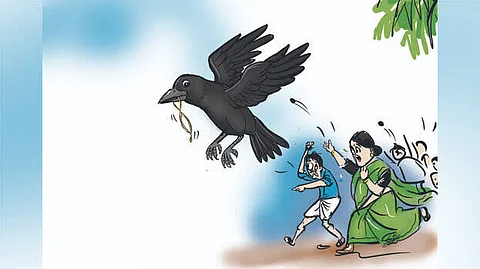 സ്വർണ്ണ മാല കാക്ക കൊത്തിക്കൊണ്ട് പോയി