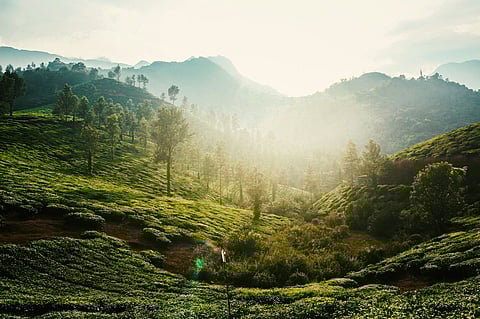 പൊതുജനങ്ങളുടെ പ്രശ്നങ്ങള് കേള്ക്കാൻ ജില്ലാ കളക്ടർ എത്തുന്നു
