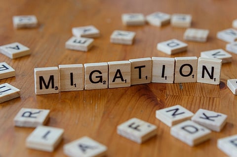 Migration