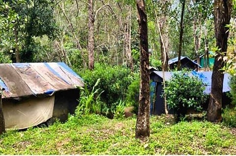 Arippa land dispute