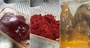 എലിവിഷബാധയേറ്റ ആറ് കേസുകൾക്കും പൊതുവായ ഭക്ഷണ സ്രോതസ്സ്