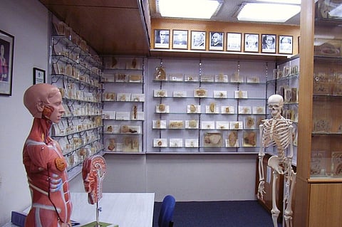 മ്യൂസിയം