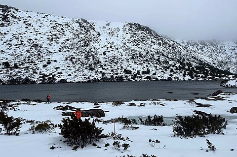 Snow at the Mount Field National Park.