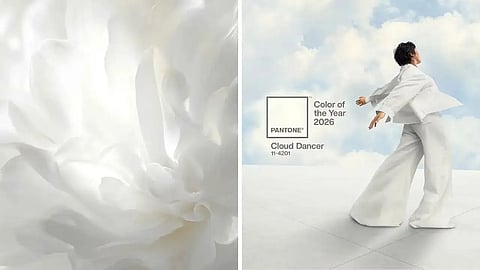 പുതുവർഷത്തിന്റെ നിറമായി 'ക്ലൗഡ് ഡാൻസർ'