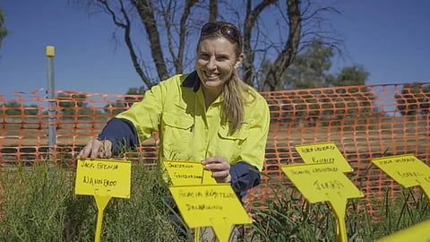 കാറിൽ മരക്കൊമ്പ് വീണ് ശാസ്ത്രഞ്ജ ഡോ.മെലിൻഡ പിക്കപ്പ് മരിച്ചു