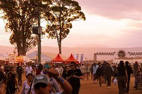 Party In The Paddock