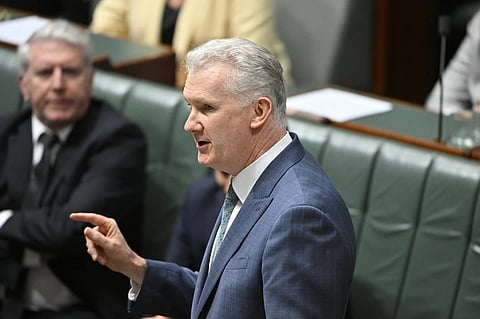 tony burke