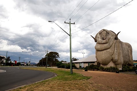ആദ്യത്തെ കമ്മ്യൂണിറ്റി കോ-ഓപ്പ് സോളാർ ഫാമും ബാറ്ററിയും