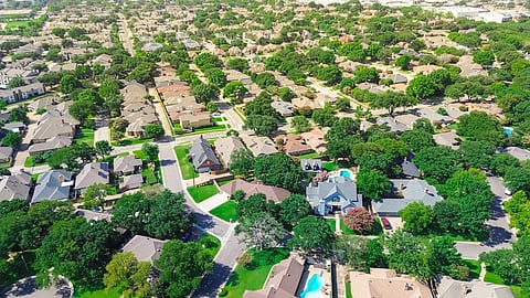 തെരുവ് മരങ്ങൾക്കായി പുതിയ നിയമങ്ങൾ അവതരിപ്പിച്ച് കോക്ക്ബേൺ നഗരം