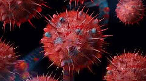 സൂപ്പർ-കെ ഫ്ലൂ സ്ട്രെയിൻ ഓസ്ട്രേലിയയിലുടനീളം പടരുന്നു