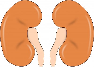 observational studies have Suggested tap water naturally laced with trace amounts of lithium might improve human longevity. (IANS)