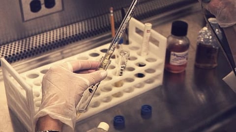 Genetic Screening Results Got Harder Under New Abortion Laws (representational image - CDC PHIL)