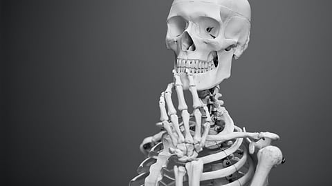 Ceramics tailored for optimized self-repair may help bone heal by itself.(Unsplash)