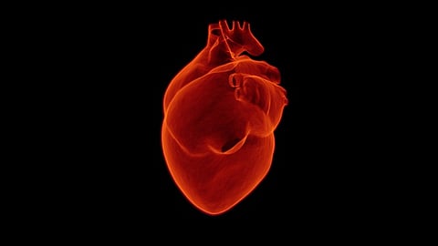 Researchers Test Novel Drug That May Stop Heart Failure (representational image - Pixabay)