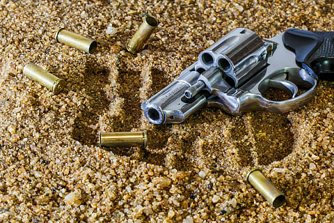 A bipartisan group of U.S. senators said on Sunday they had reached an agreement on a framework for gun safety legislation (PIxabay)