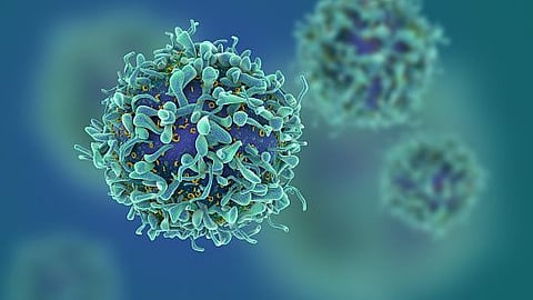 Study finds: Protective T cells remain 20 months after COVID-19 (representational image - Unsplash)