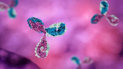 Study finds Antibodies could be key to Effective Cancer Treatment (representational image - Unsplash)