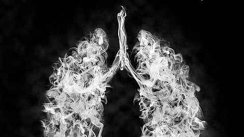 Manuka honey may help to clear drug-resistant lung infection (Pixabay)