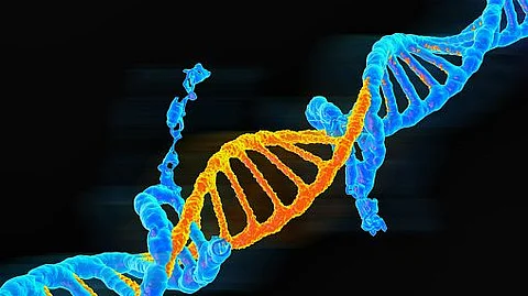 Parents develop drugs to save their children’s lives (representational image - Unsplash)