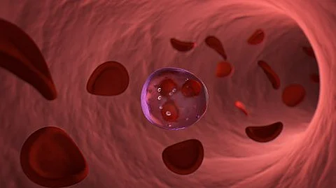 Lighting up the B cells (representational image - Unsplash)