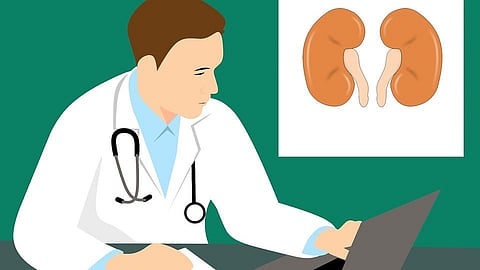 Statins can effectively lower high cholesterol, and many individuals take rosuvastatin, one member of this drug class (representational image - Pixabay)