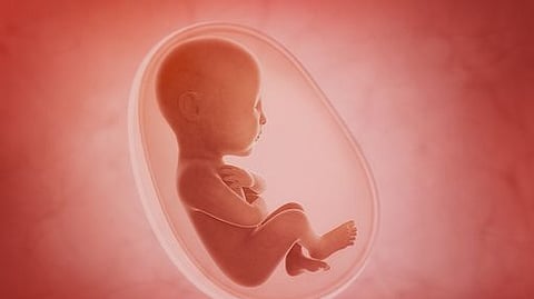 COVID-19 vaccine does not negatively affect placental health (representational image - Unsplash)