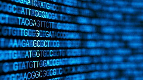 Study finds: Genome editing helps expand entomological research (representational image - Unsplash)