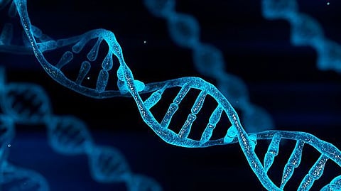 Application of DNA technology in reconstructing nature (representational image - Unsplash)