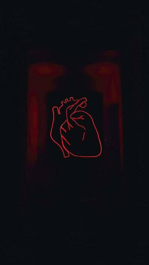 A Major Step Forward for Organ Biofabrication (Representational image-Unsplash)