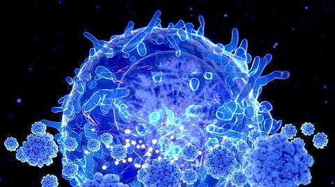 Blue colored animation of a virus particle with immune responses.
