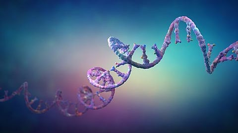 RNA molecules can be folded by Artificial Intelligence (AI) (representational image - Unsplash)