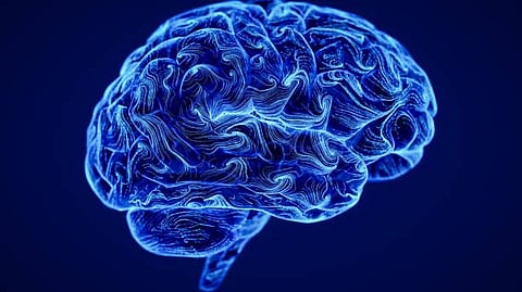 Response of brain to understand stories changes as we age (representational image - Unsplash)