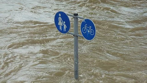 Assam floods have created havoc across the state. The increasing rainfall has led to the overflowing of many rivers leading to floods and landslides (representational image - Pixabay)