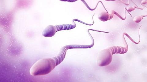Study finds: protein which helps sperm fuse with an egg (Unsplash)