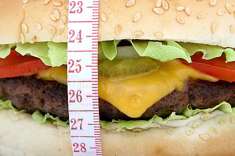 Long Term High-Fat Diet Expands Waistline and Shrinks Brain (representational image - Unsplash)