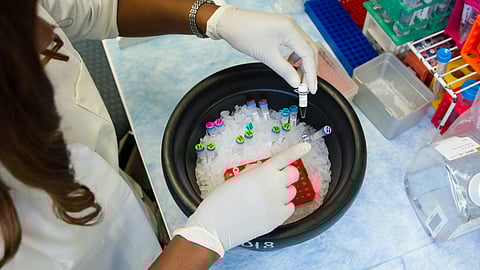 Can the protein that defeats metabolic diseases conquer dementia? (Unsplash)