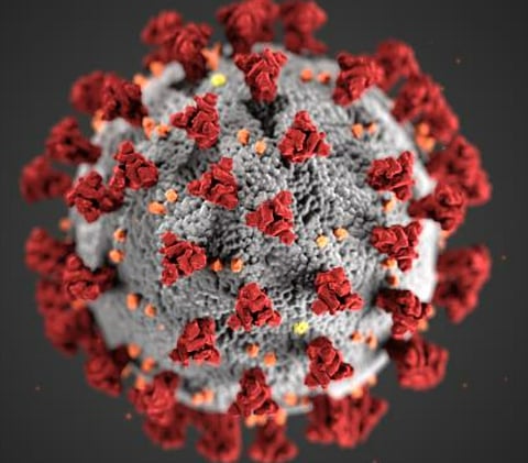 You may have noticed that in the past two years, we have been jailed! We are sequestered in our homes, quite literally, by a small microscopic virus called COVID-19. (IMAGE: CDC PHIL)