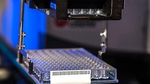 Researchers find: New players in the immune response (CDC PHIL)