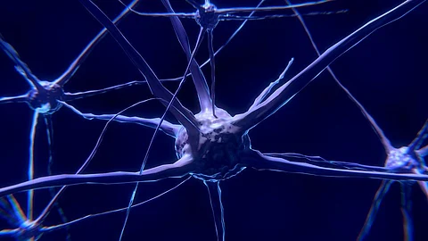 A new study has found that these appendages, called cilia, on neurons in the brain have a key role in ensuring a specific dopamine receptor’s signals are properly received (representational image - Pixabay)