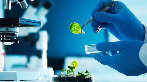 Since the low-cost, autonomous devices are light enough to float, they could be used to generate a sustainable alternative to petrol without taking up space on land (Unsplash)