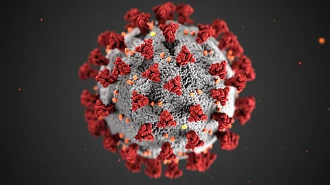 Study reveals: target of SARS-CoV-2 in brain & describes effects (CDC PHIL)