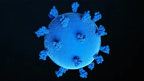 A new, broadly neutralizing antibody developed at Boston Children’s Hospital could potentially improve our ability to defend against future variants (Unsplash)