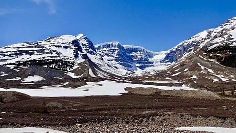 There is also evidence suggesting that sleep disturbance could make it harder for the body to fend off infection, according to a new research paper (CDC)