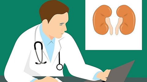 Does gender-affirming hormone therapy affect kidney health? (Pixabay)