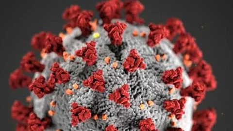 New zika vaccine shows promise in animal models. (CDC PHIL)